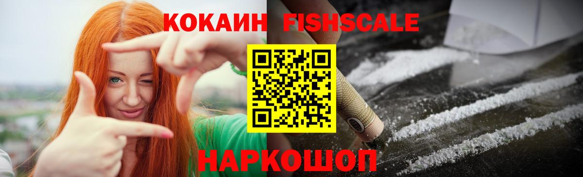 где найти наркотики  Кокаин  Каменка  Вход с VPN  Кокаин Fish Scale 