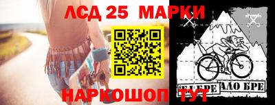 индика Ливны