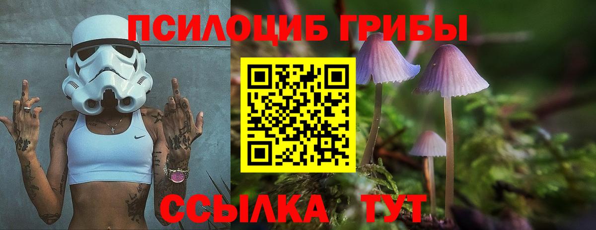 Псилоцибиновые грибы ЛСД  Вход с VPN  Псилоцибиновые грибы GOLDEN TEACHER  Каменка 