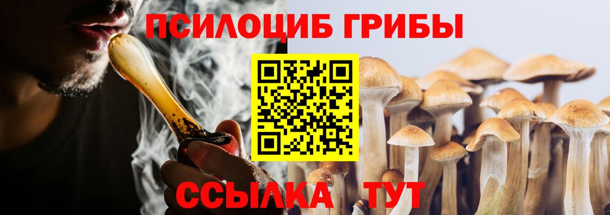 Псилоцибиновые грибы MAGIC MUSHROOMS Каменка